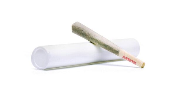1G MAPLE BARZ 28.35% THC HYBRID HIPPIES PRE-ROLL - Image 2