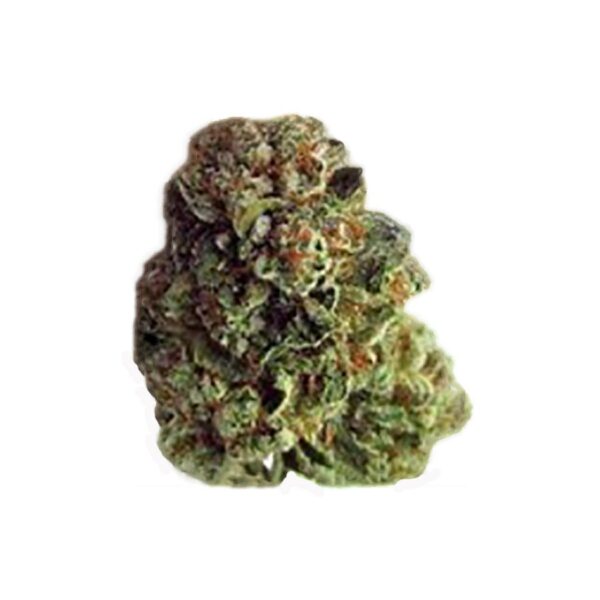 3.5G KUSH MINTS 19.28% THC INDICA FLOWER SILVER BLACK ATTACK CULTIVATION